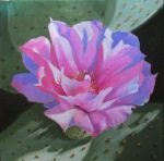sept-10pink-cactus-flower